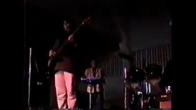 los koala en vivo arreando la mula