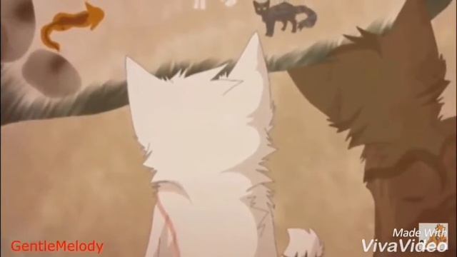 Снегоухий"Пьяное Солнце"