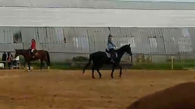 КК Эклипс. Лесколово. 24.06.2017