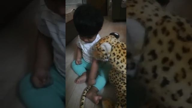 Jayden Kuttan playing with Leopard.  Video dated 3rd April 24.