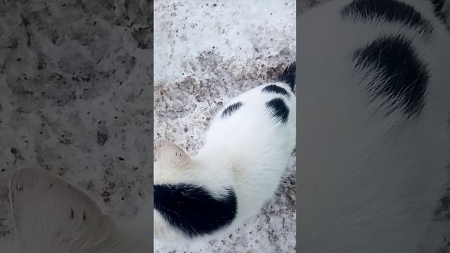 1000128248.mp4