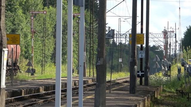 Po kolei z Kuleckim - Odcinek 174 - Łąg czy lęg? (Łęgajny)