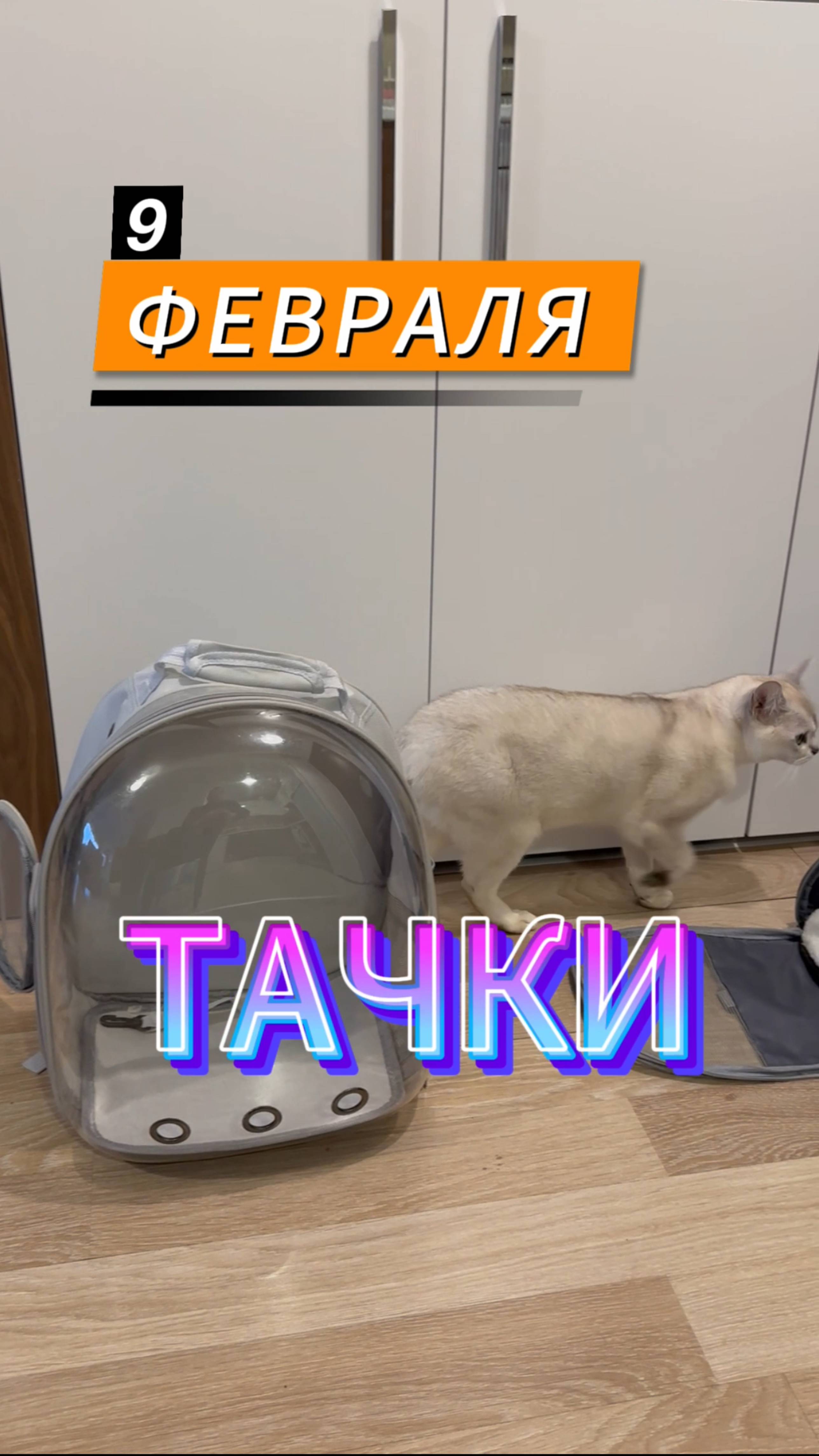 Тачки