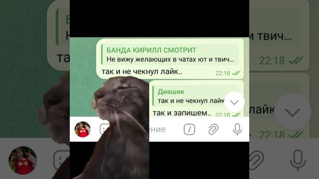 Смешные моменты и мемы со стрима Кирилла часть #7-8 не знаю я