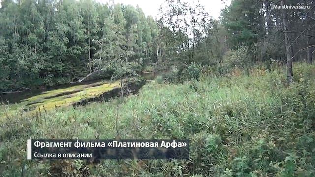 Хвостом по глобусу - владельцы материального мира