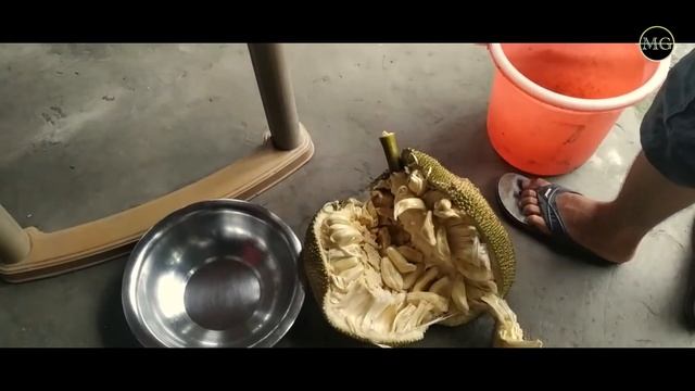 Kanthal gwmwn Jadwng jwngha || Jackfruit eating || village life, Bodoland,Assam
