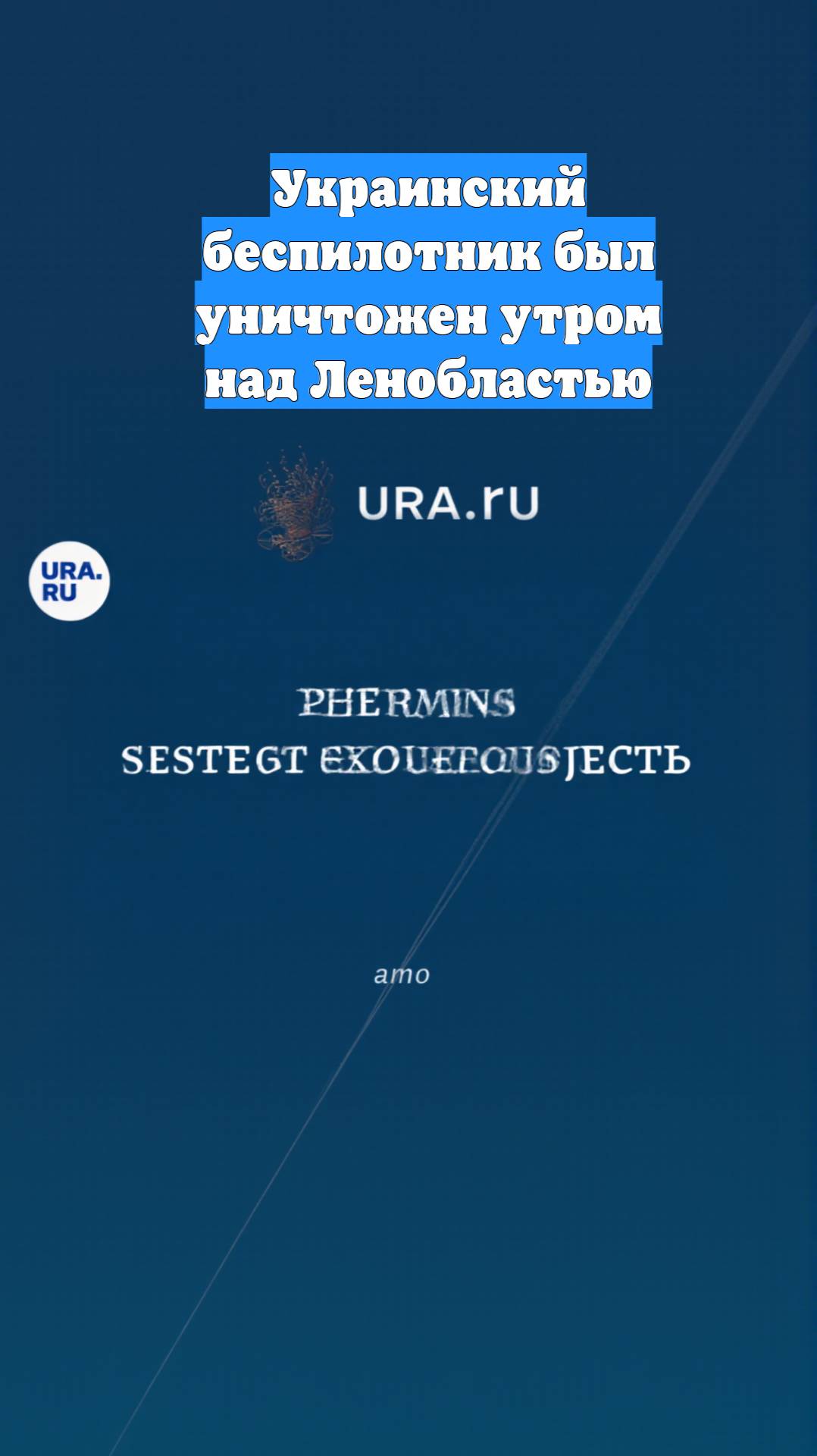 Украинский беспилотник был уничтожен утром над Ленобластью