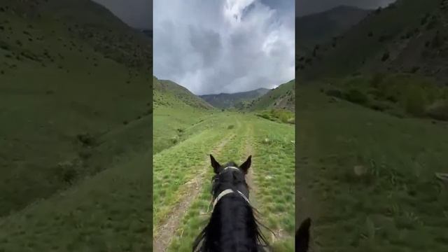 Аттың пайдасы
