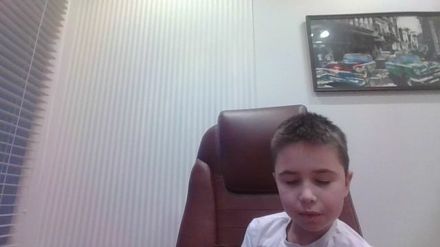 обзор домашнего животного