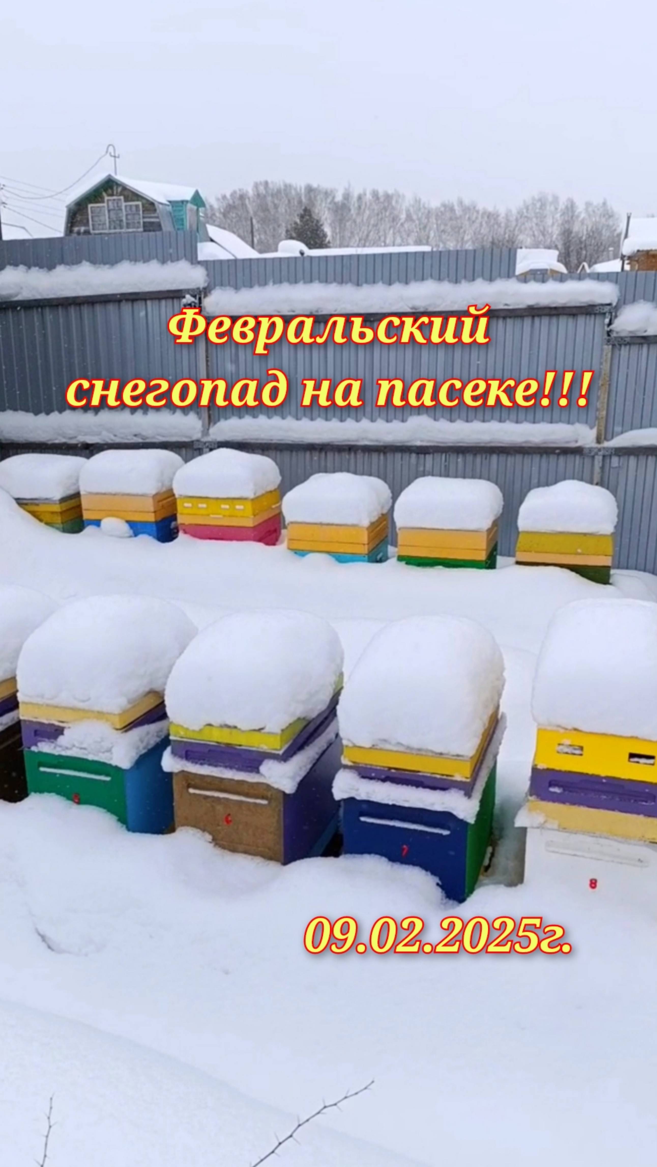 Сибирская белоснежная пасека 🐝👍