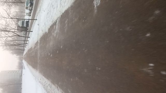 велокурьерство