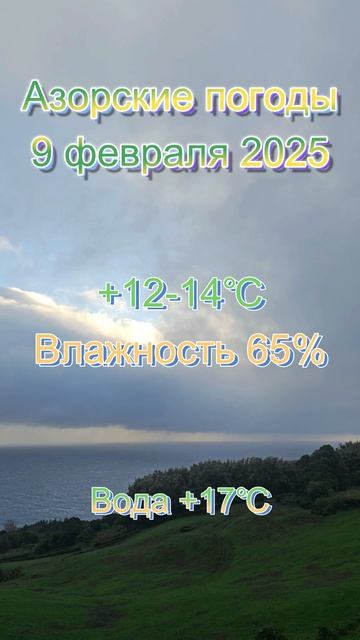 Азорские погоды 9 февраля 2025