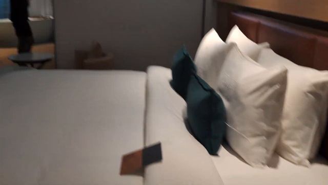 Vlog Ep 29 : The Luma Hotel