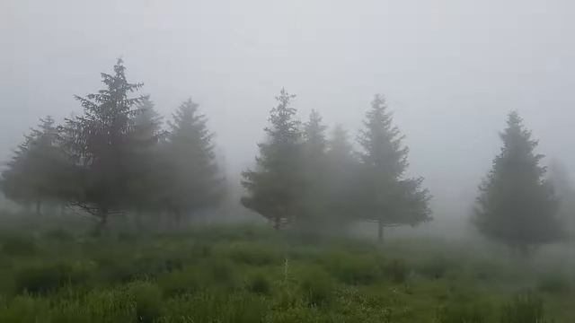 International park ala-archa in Kyrgyzstan