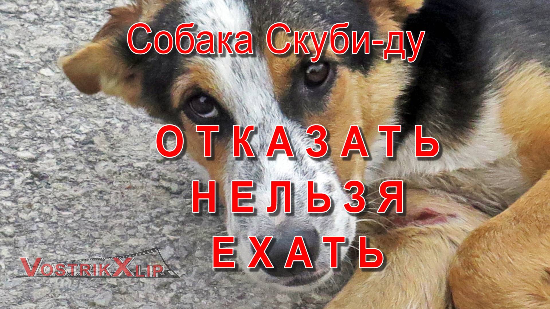 01-Скуби-Ду Отказать Нельзя Ехать