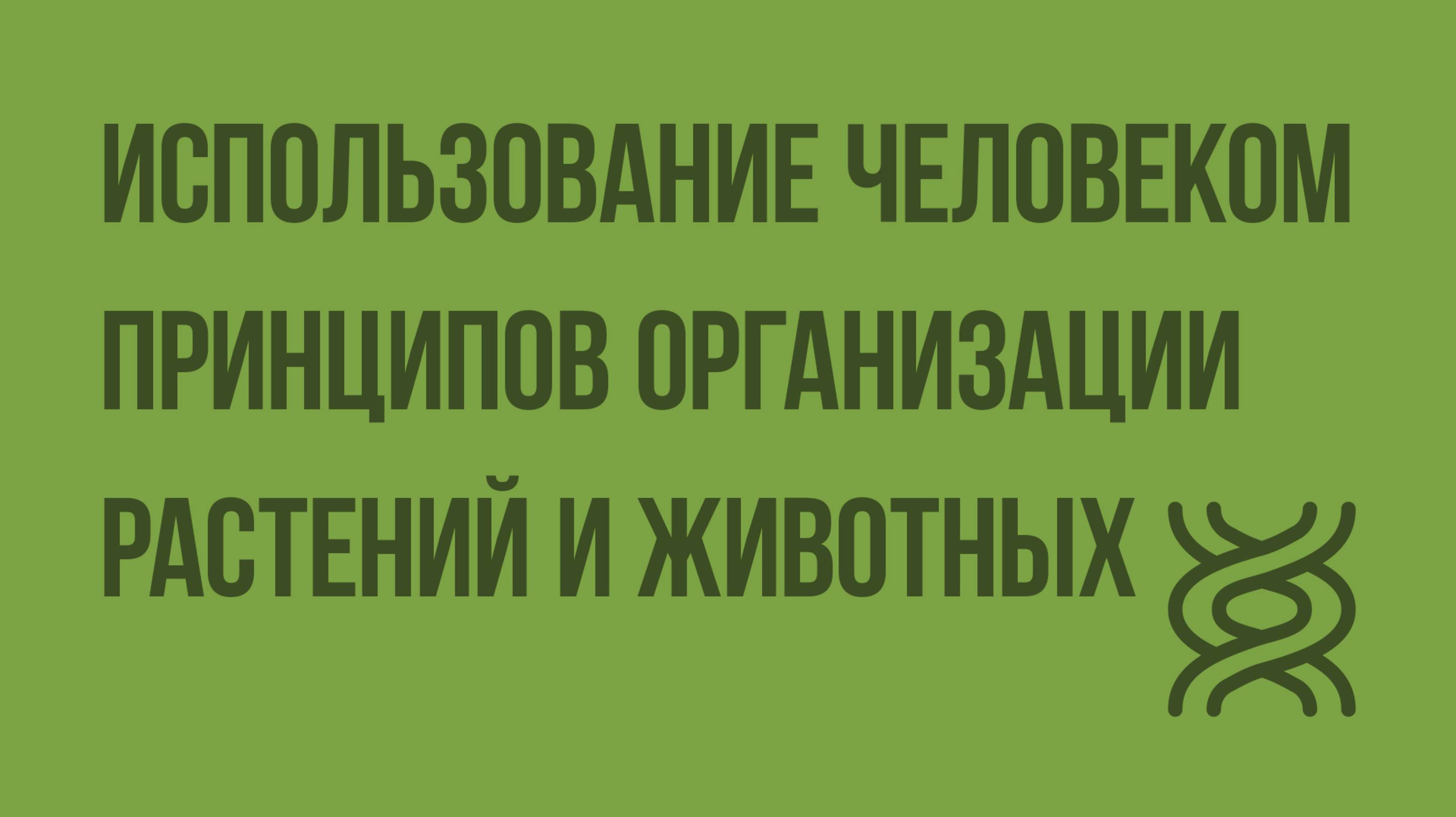 Использование человеком принципов организации растений и животных. Видеоурок по биологии 11 класс