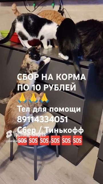 ЛЮДИ ДОБРЫЕ ПОМОГИТЕ 🙏🆘