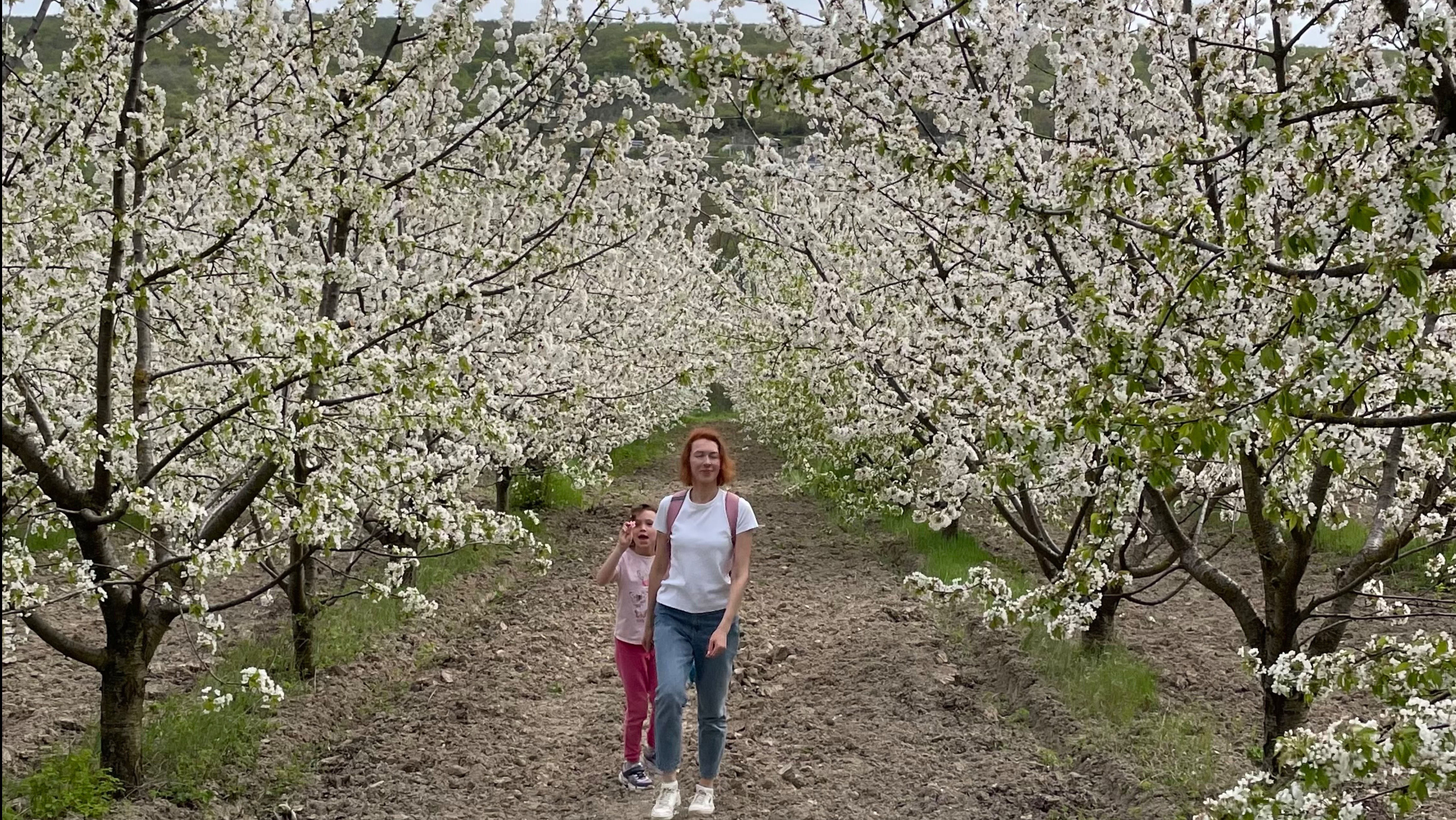 Цветущий Крым. Наша поездка на майские праздники.