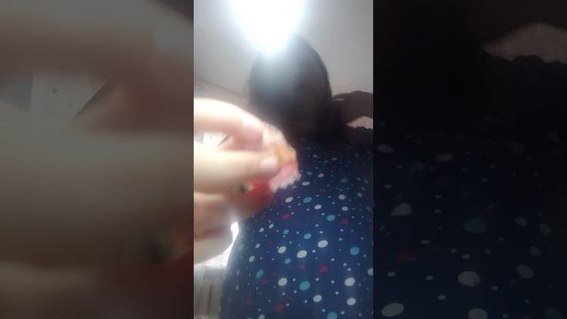VID_20250209_133749.mp4