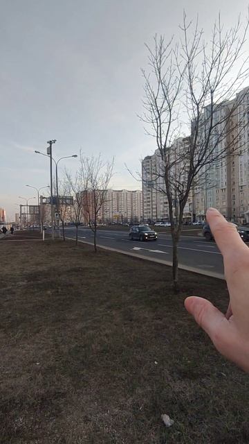 Светофор в районе Некрасовка