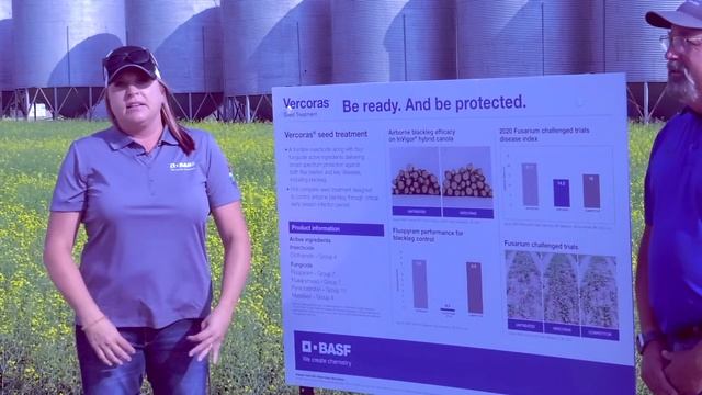 Protect Your Canola from Black Leg and more with Vercoras Seed Treatment