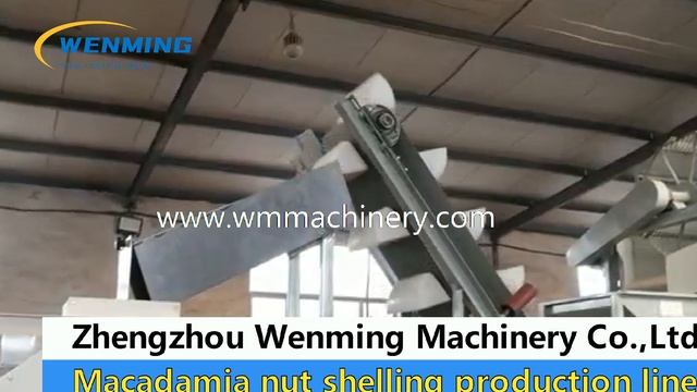 Automatic Macadamia nut shelling Production line