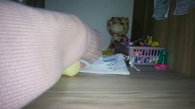 Новости сквиш собак|Что нужно для сквиш собак в поездку?🐕🐾