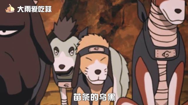 盘点历任“影”的通灵兽，为何只有老卡是“狗影”？【大雨爱吃蒜】