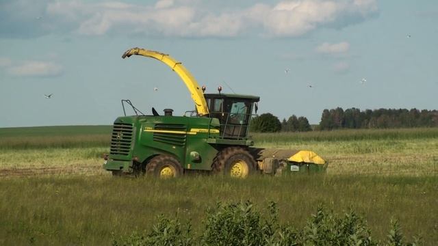 JOHN DEERE 7250 и KAMAZ,заготовка силоса.
