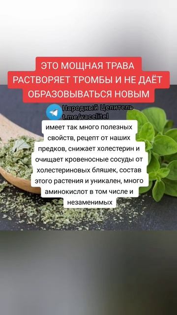 эта мощная трава растворяет тромбы и не даёт образовываться новым  #здоровье #народнаямедицина