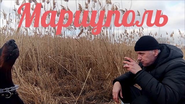 дружище