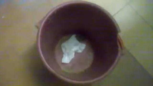 Дрессированная мышка