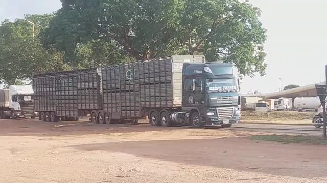 DAF NO BOIADEIRO 30M