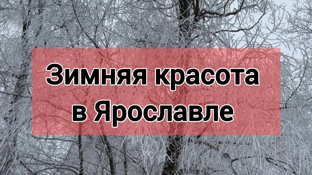 Зимняя красота в Ярославле