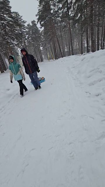лыжи в Зенковском парке
