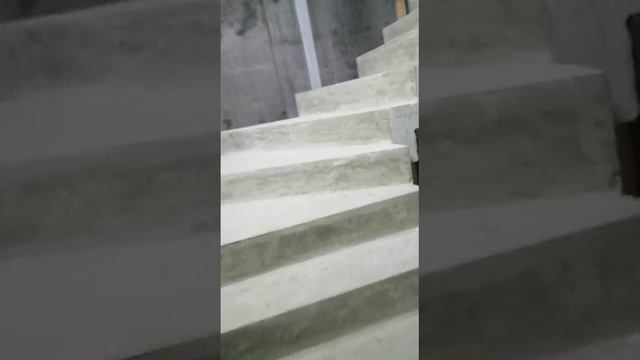 9593.mp4