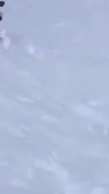 Поехали кататься на лыжах говорили они, будет весело говорили они