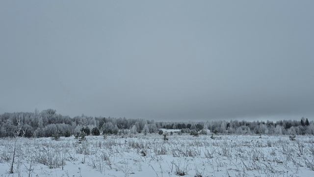 Монохромный февраль.