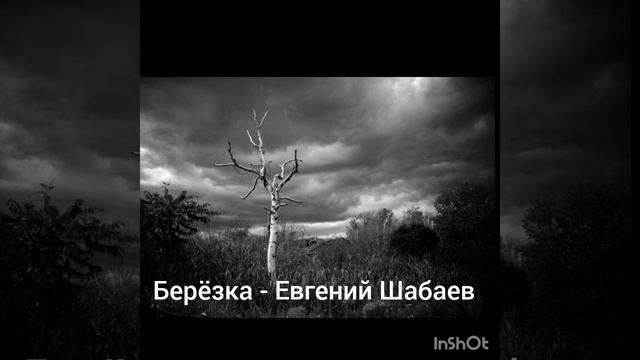 Берёзка - Евгений Шабаев