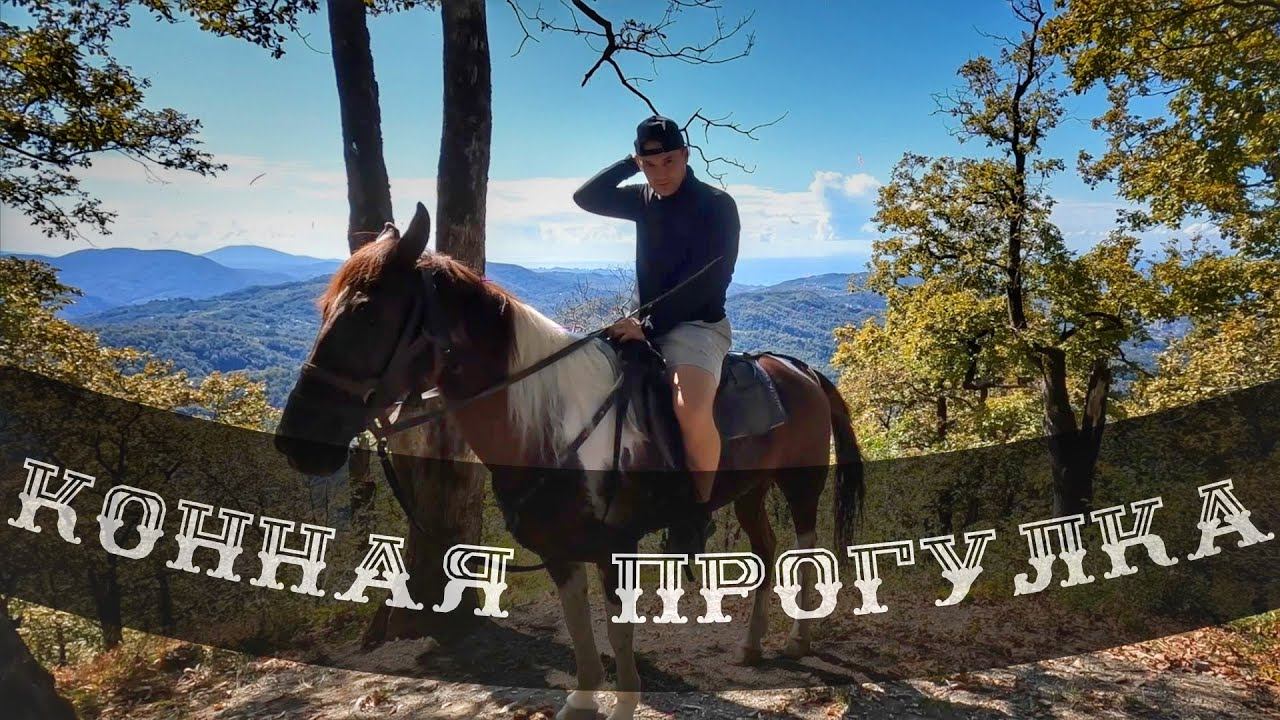 Конная ПРОГУЛКА в ГОРАХ I end   I part 4
