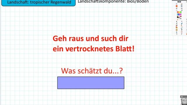 Geographie Klasse 8 - Tropischer Regenwald Teil 2