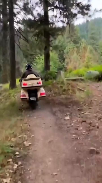 Голдвинг на бездорожье😁
