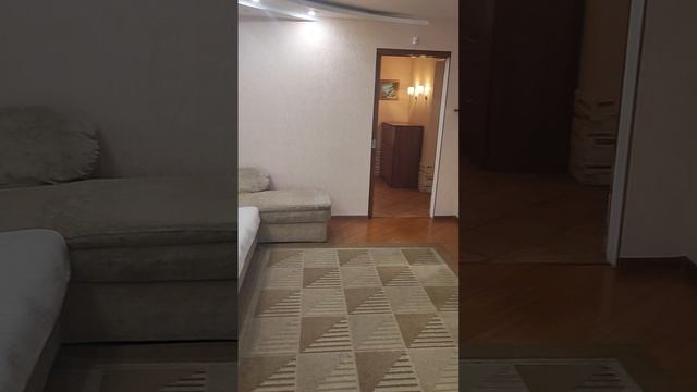 VID_20250208_135346