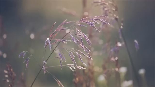 Weval: Easier (Kevin Di Serna Re'vison)