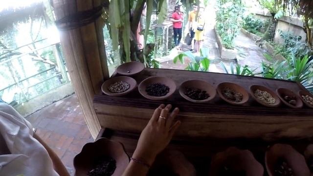 Ep07 World's Most Expensive Coffee - Luwak Coffee | Day 2 | Bali | Indonesia