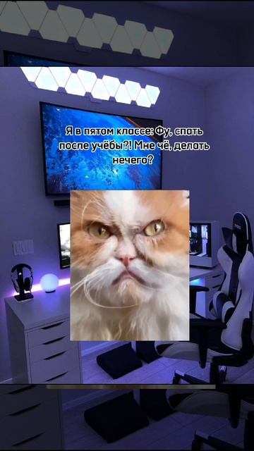 Кто также целый день спит?💤