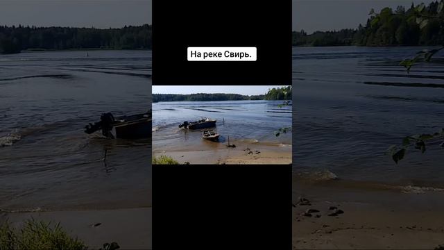 Свирь
