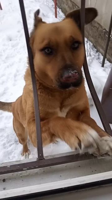 А вот и я.