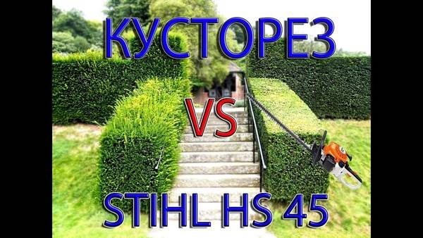Стригите кустарник и деревья правильно!!! Не покупайте кусторез пока...Stihl HS45