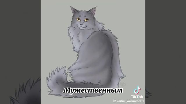 каким воином хотят стать?